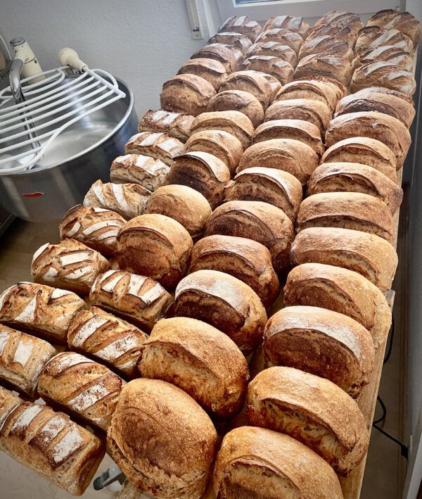 Annaberger Sourdough – Bild 5