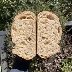 Annaberger Sourdough