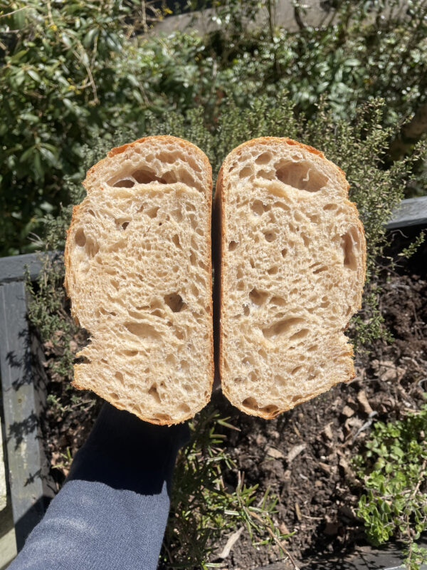 Annaberger Sourdough