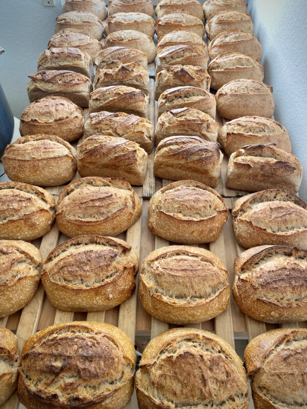 Annaberger Sourdough – Bild 2