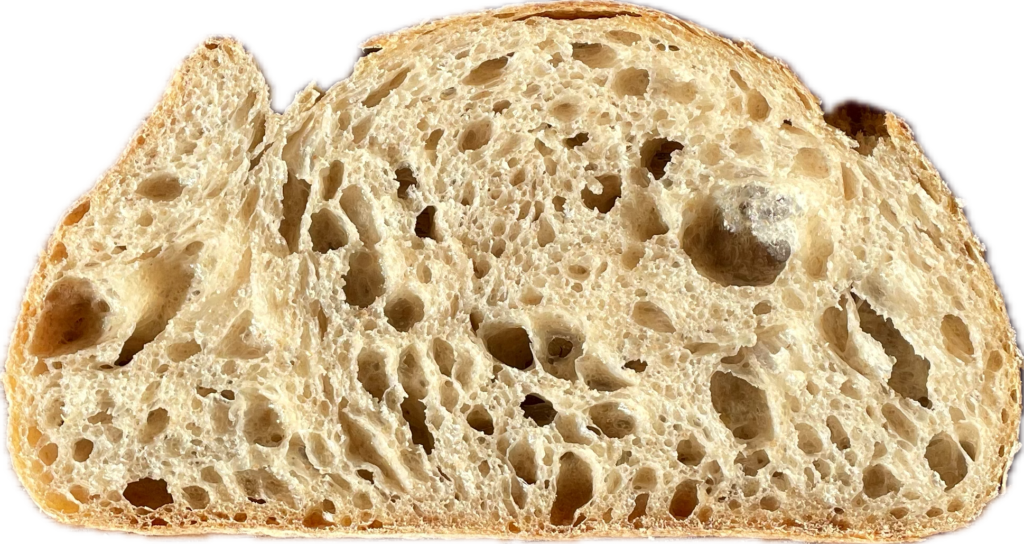 8B69AB87-15A3-4D10-88D5-75F82DD2FC3B